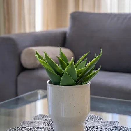 Penthouse With Pool And View By Homely *