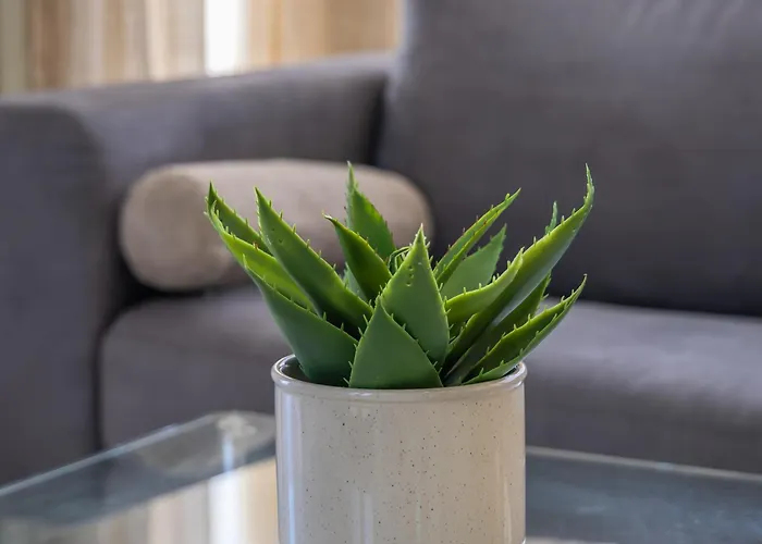 Penthouse With Pool And View By Homely *